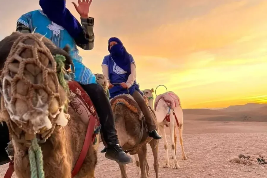 Adventure & Desert Tours